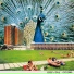 Odessey & Oracle