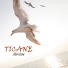 Ticane