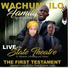 Wachumlilo Family's Spirit of Fire feat. Ndumiso