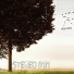 Stereo Inn