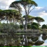 Yoga, Musica Relajante, Zen Music Garden