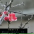 Hartik