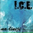 I.C.E.