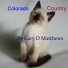 Gary D Matthews feat. Kimberlee Jo Stiles