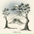 Lokki
