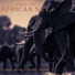 African Music Drums Collection