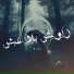 Zed k