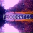 The Floodgates