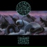 Old Sea and Mother Serpent