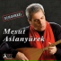 Mesut Aslanyürek