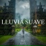 Lluvia del Bosque