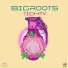Bigroots