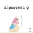 skyswimming