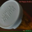 Sir Pappy Dosha