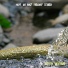 Bath Water