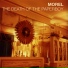 Morel