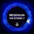 MicSoulSA