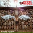 Kisel
