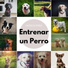 Música Relajante para Perros