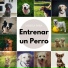 Música Relajante para Perros