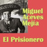 Miguel Aceves Mejía