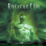 Ancient Elm