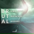 Robert Abigail X Digitalchord X Rockwelz