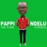 Pappi Ndelu