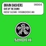 A02 Brian Bashers