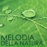 Madre Natura & Armonia