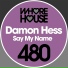 Damon Hess housedj.net