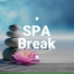 Best Relaxing SPA Music & Nature Sounds