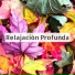 Meditar Profundamente