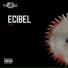 Ecibel