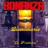 Bonanza