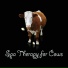 Relaxing Spa Music