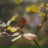 Relaxing Spa Music, Spa, Relaxing Music Therapy