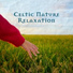 Celtic Chillout Relaxation Academy