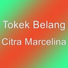 Tokek Belang