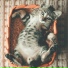 RelaxMyCat, Music for Cats Project, Pet Care Club