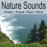 Nature Sounds Artists