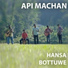 Api Machan