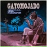 Gatomojado