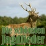 Chor und Orchester des Süddeutschen Rundfunks