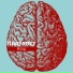 Haag