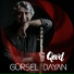 Gürsel Dayan