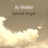 Aj Waller