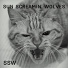 Sun Screamin' Wolves