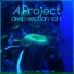 A Project