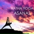 Asana Perkins